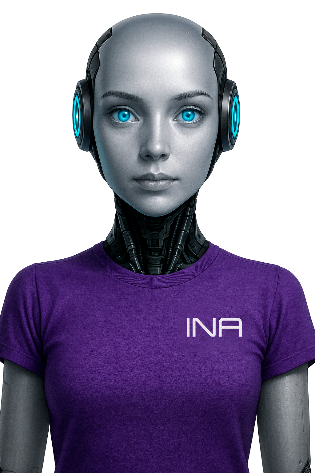 INA — a IA da FSA